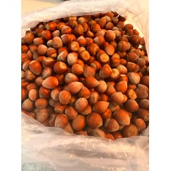 Kabuklu Fındık 100 gr