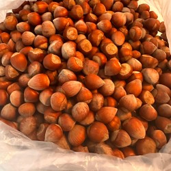 Kabuklu Fındık 100 gr