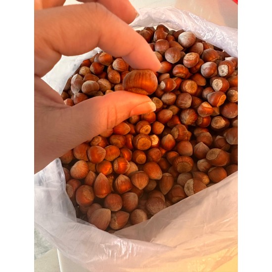 Kabuklu Fındık 100 gr