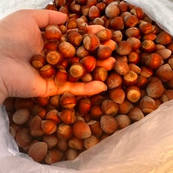 Kabuklu Fındık 100 gr