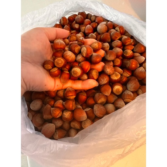 Kabuklu Fındık 100 gr